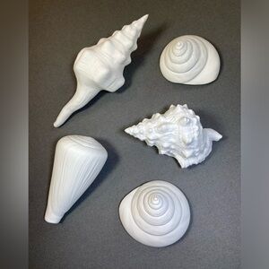 Decorative Sea‎ Shells Bisque Porcelain  5 Tabletop Bookshelf item